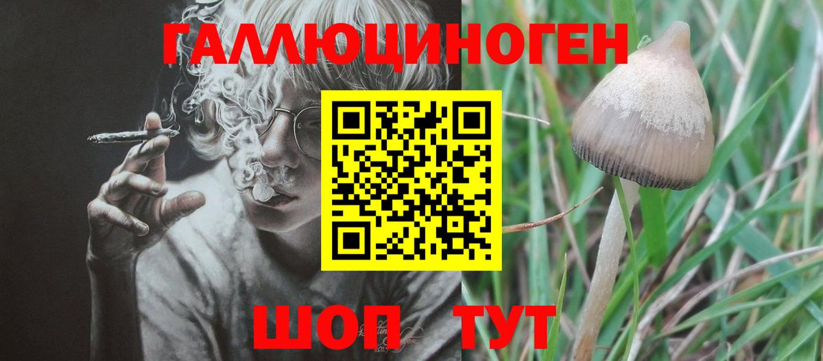 Галлюциногенные грибы мухоморы Нижнеудинск